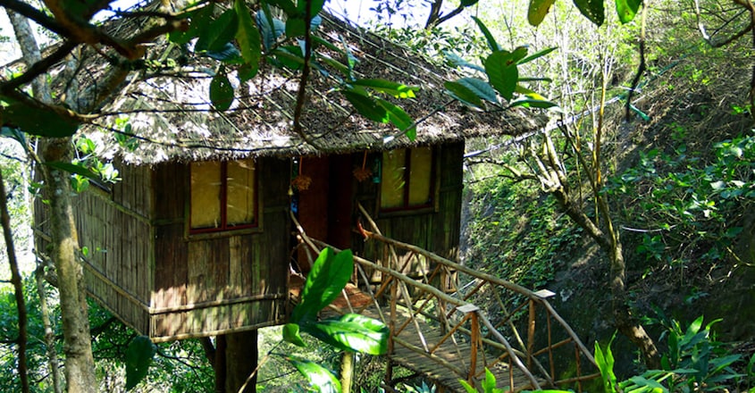 Vanya-Tree-house1 Vanya-Tree-house1