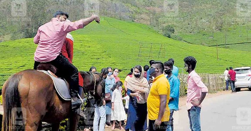 idukki-munnar-tourism idukki-munnar-tourism