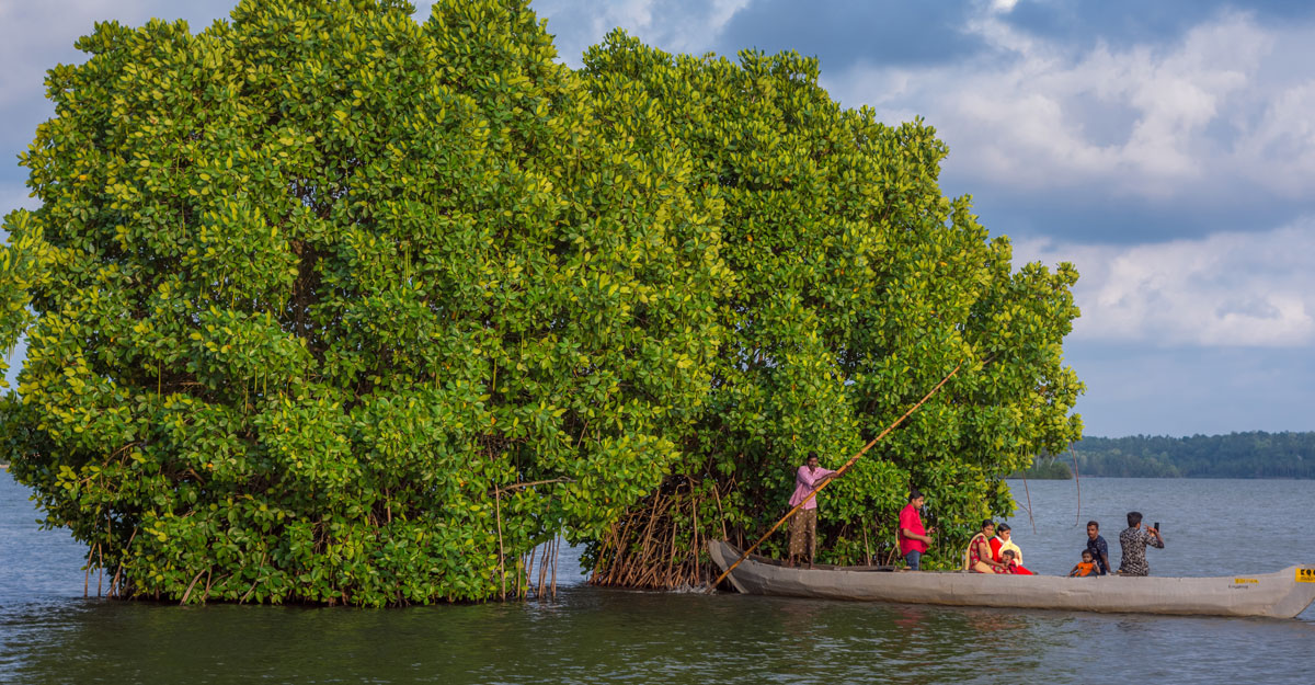 കേരളത്തിന്റെ മണ്ണിൽ സായിപ്പിന്റെ േപരിലൊരു സ്ഥലമോ? Munroe Island