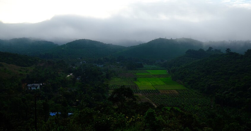 Nature-Inn-Homestay-Wayanad11 Nature-Inn-Homestay-Wayanad11