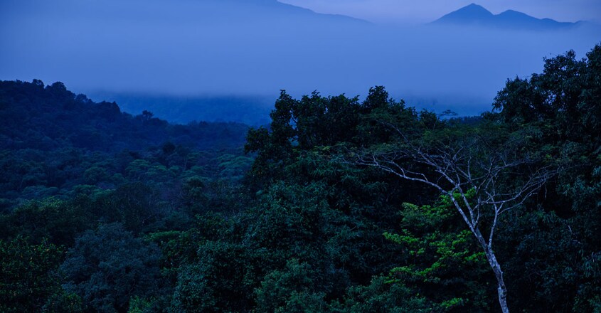 Nature-Inn-Homestay-Wayanad2 Nature-Inn-Homestay-Wayanad2