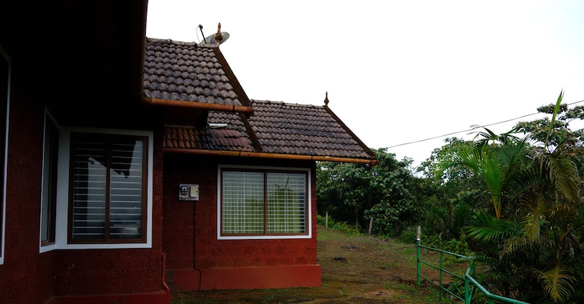 Nature-Inn-Homestay-Wayanad33 Nature-Inn-Homestay-Wayanad33