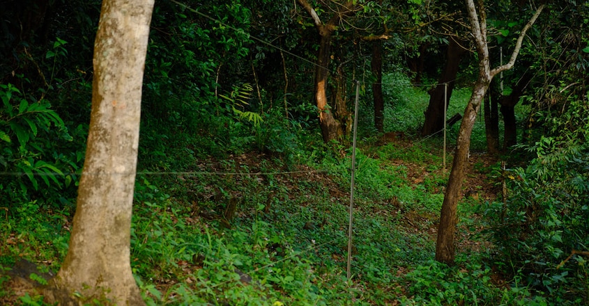 Nature-Inn-Homestay-Wayanad4 Nature-Inn-Homestay-Wayanad4