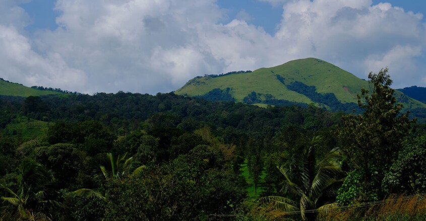 Nature-Inn-Homestay-Wayanad7 Nature-Inn-Homestay-Wayanad7