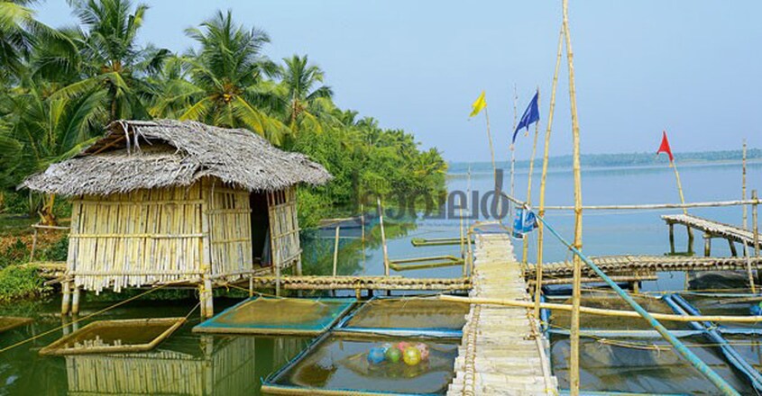 kozhikode-trip kozhikode-trip