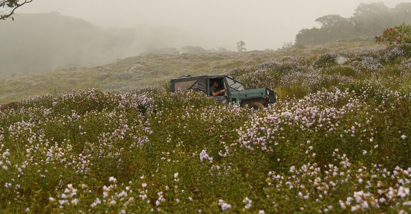 off-road-trip-3 off-road-trip-3