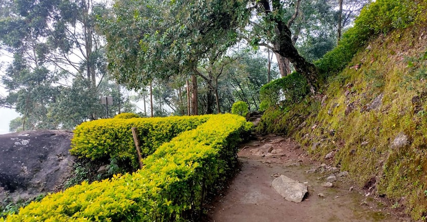 munnar2 munnar2