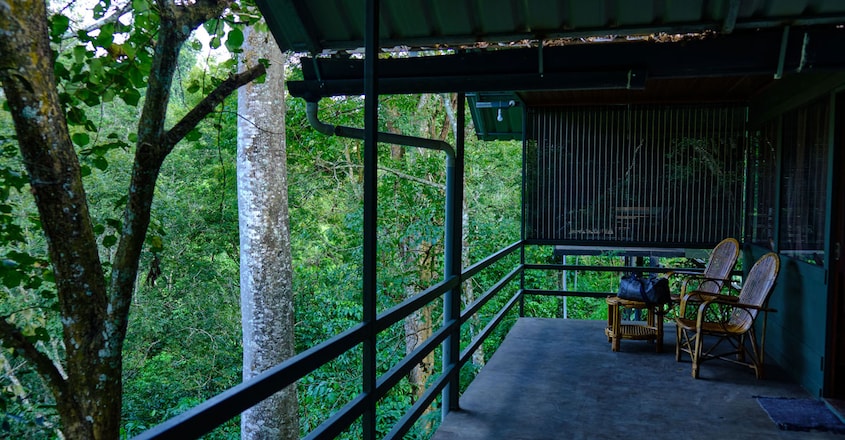 Wayanad-Wildlife-Resort1 Wayanad-Wildlife-Resort1