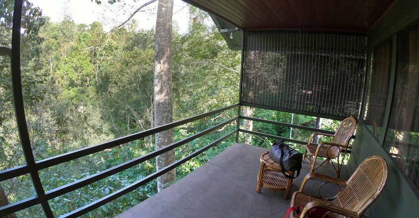 Wayanad-Wildlife-Resort5 Wayanad-Wildlife-Resort5