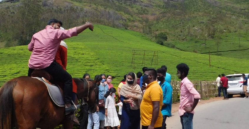 munnar-tourism munnar-tourism