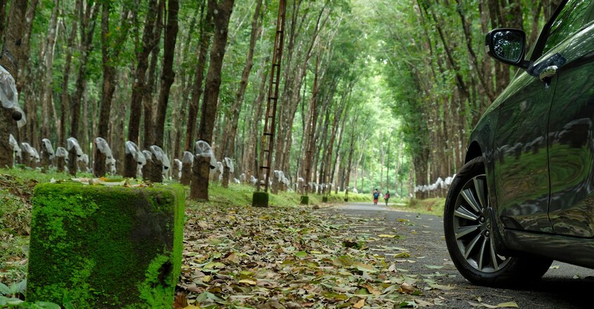 Mampazhathara-travel Mampazhathara-travel