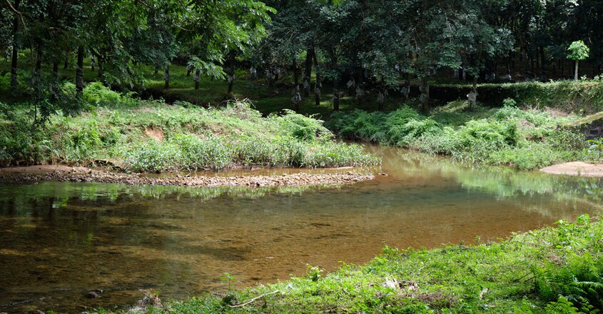 Mampazhathara-travel8 Mampazhathara-travel8