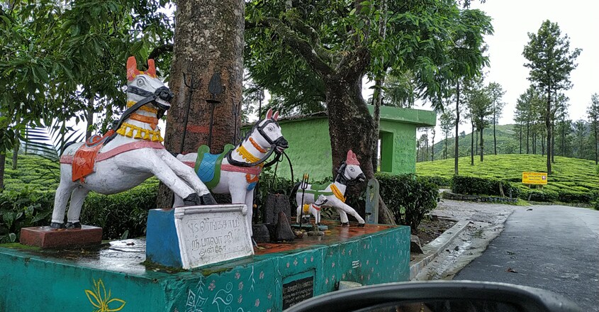 nallamudi-pooncholai3 nallamudi-pooncholai3