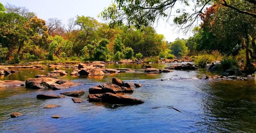 kuruva-island kuruva-island