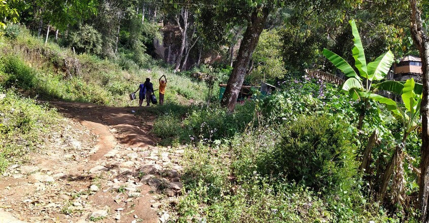 Budget-Homestay-Munnar Budget-Homestay-Munnar