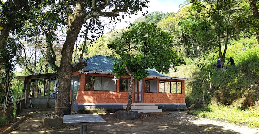 Budget-Homestay-in-near-Munnar2 Budget-Homestay-in-near-Munnar2