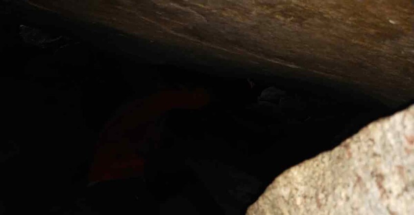 kaduvakuzhi-cave kaduvakuzhi-cave