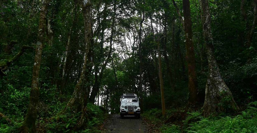 churuli-wayanad4 churuli-wayanad4