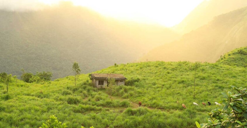 pullikkanam5 pullikkanam5