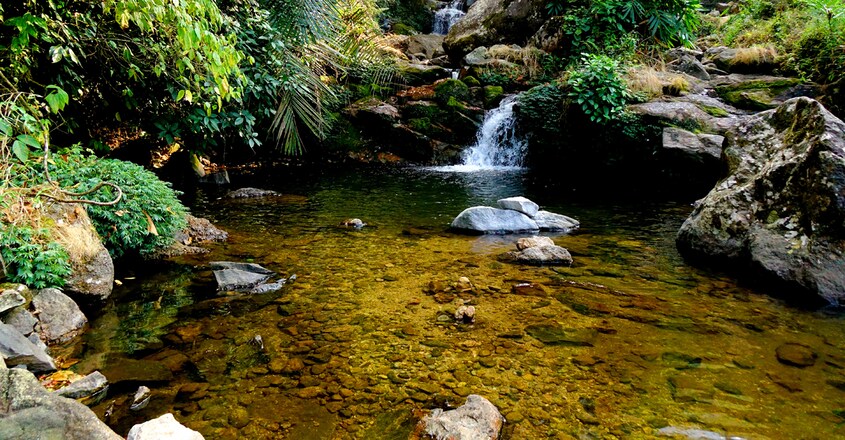 Mankulam1 Mankulam1