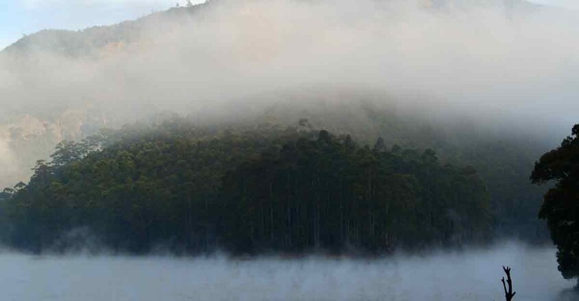 3munnar-maatupetty-dam 3munnar-maatupetty-dam