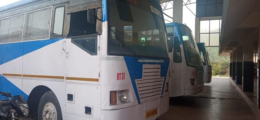buss buss