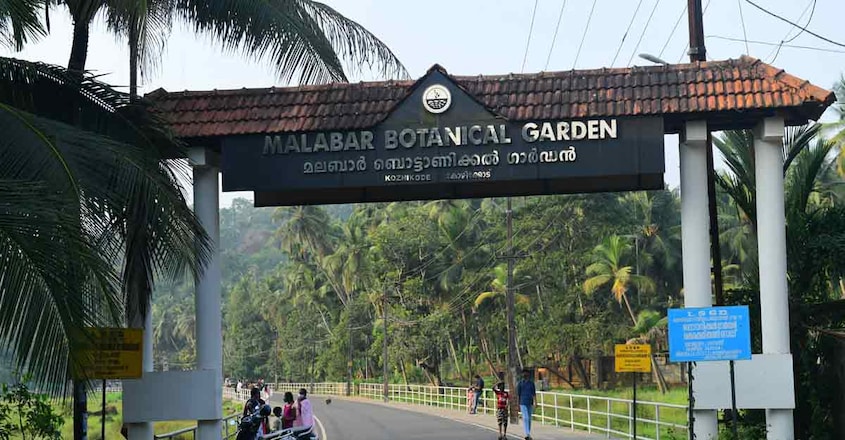 Malabar-botanical-garden-5 Malabar-botanical-garden-5