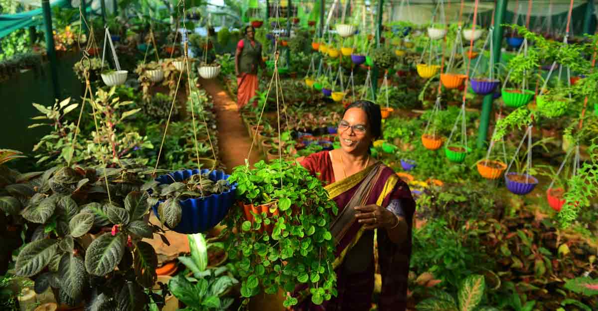 ഇലമർമരങ്ങളുടെ ഉദ്യാനം Visit Malabar Botanical Garden Kozhikode