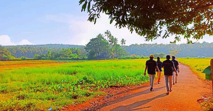 village-trip village-trip