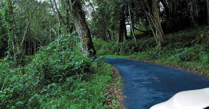 Pooyamkutty-travel10 Pooyamkutty-travel10