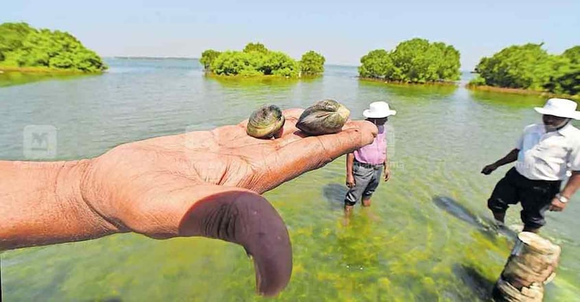 Sambranikodi Sambranikodi