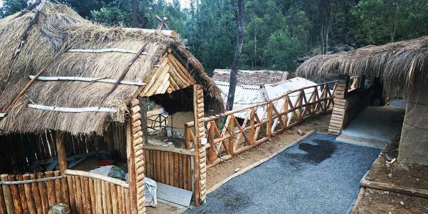 Jungle-Book-Vintage-Resort-Kanthalloor1 Jungle-Book-Vintage-Resort-Kanthalloor1