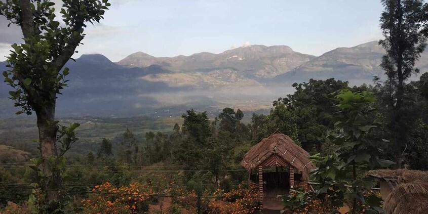 Jungle-Book-Vintage-Resort-Kanthalloor2 Jungle-Book-Vintage-Resort-Kanthalloor2