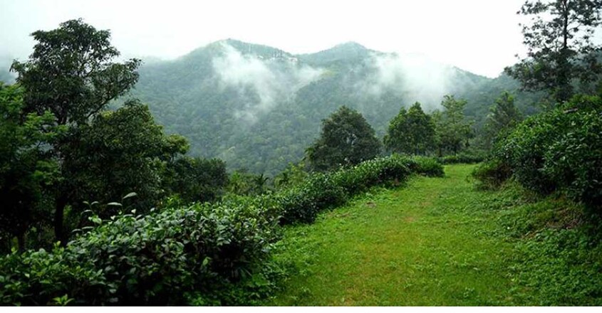 ponmudi-trip2 ponmudi-trip2