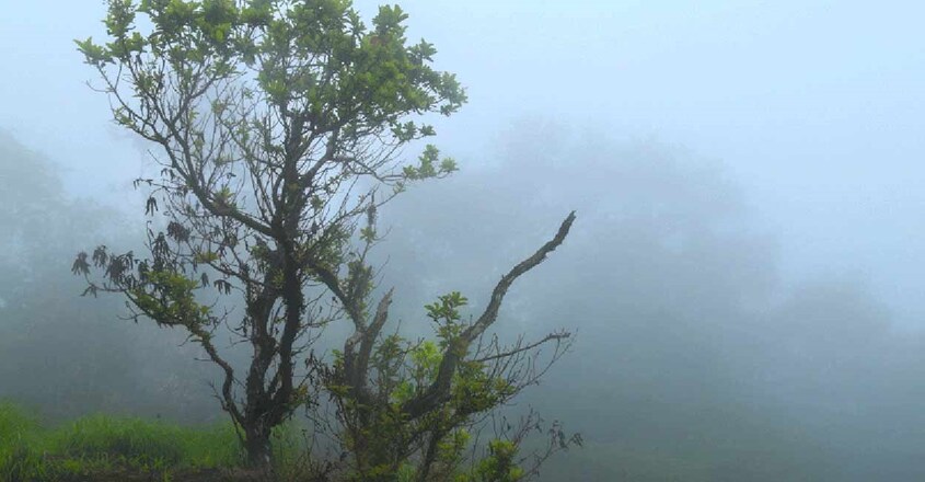 pithalmala-hills pithalmala-hills