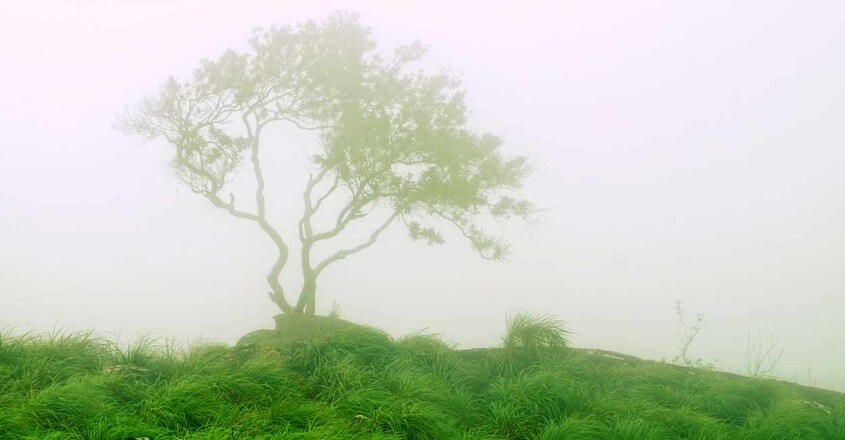 ponmudi ponmudi