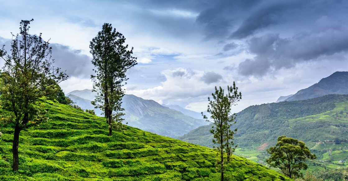munnar