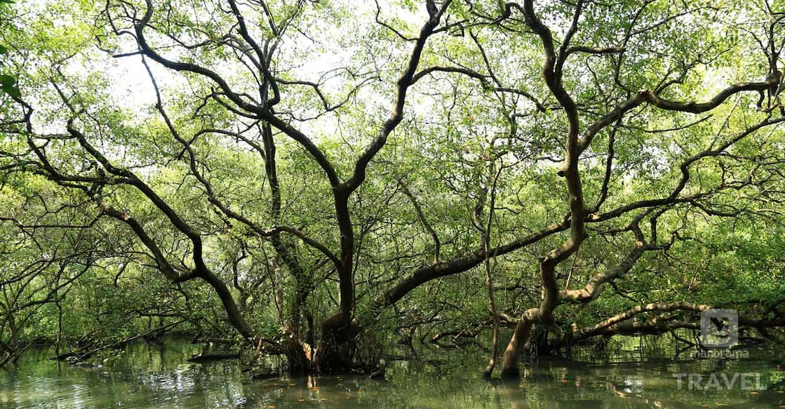 9B2A5361 ചിത്രങ്ങൾ ഷാജി തേഞ്ഞിപ്പലം