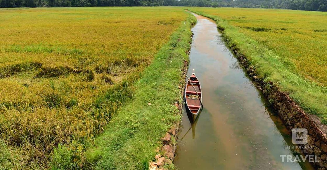 മാക്രിമടയിലെ കാഴ്ചകൾ. ചിത്രം: അരുൺ ശ്രീധർ/മനോരമ