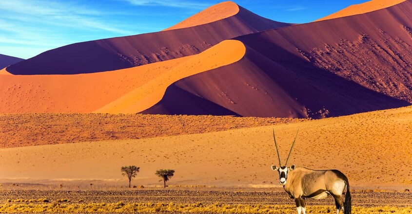 namibia namibia