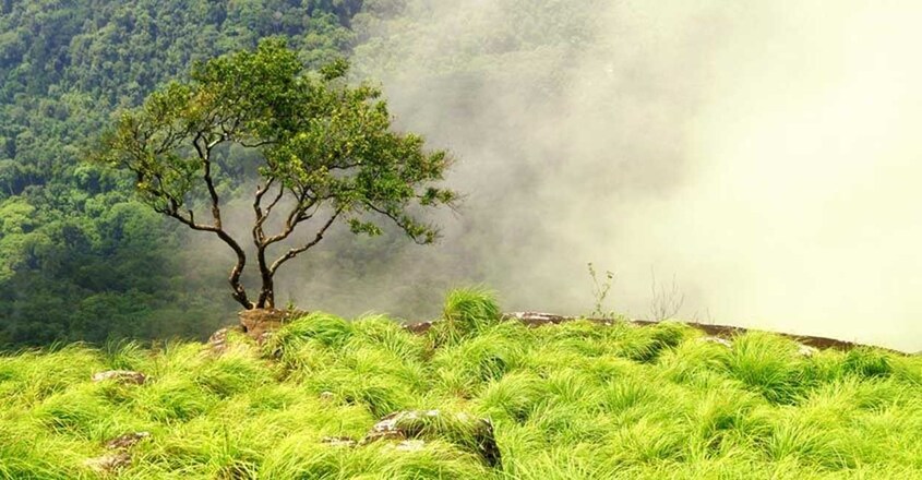 ponmudi-trip ponmudi-trip