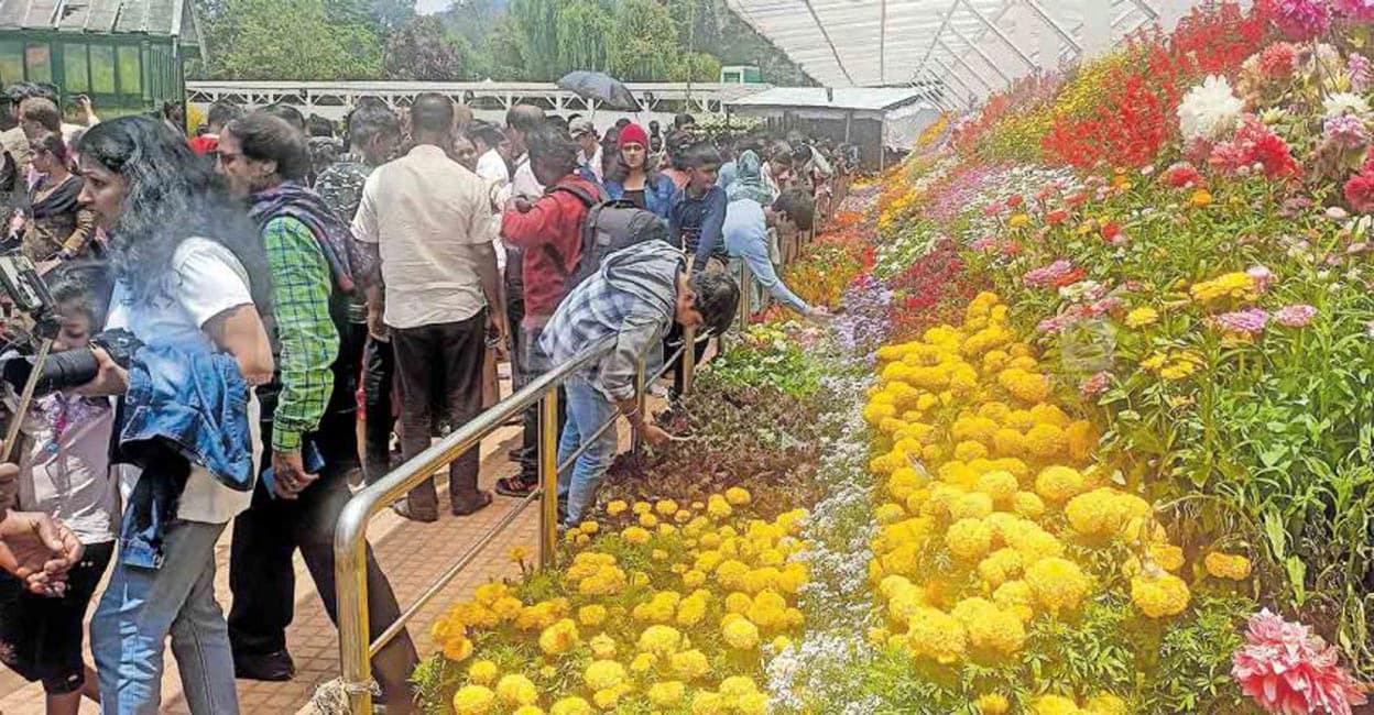 സഞ്ചാരികളുടെ തിരക്കിൽ ഉൗട്ടി; വസന്തമൊരുക്കി പുഷ്പമേള Ooty Flower Show