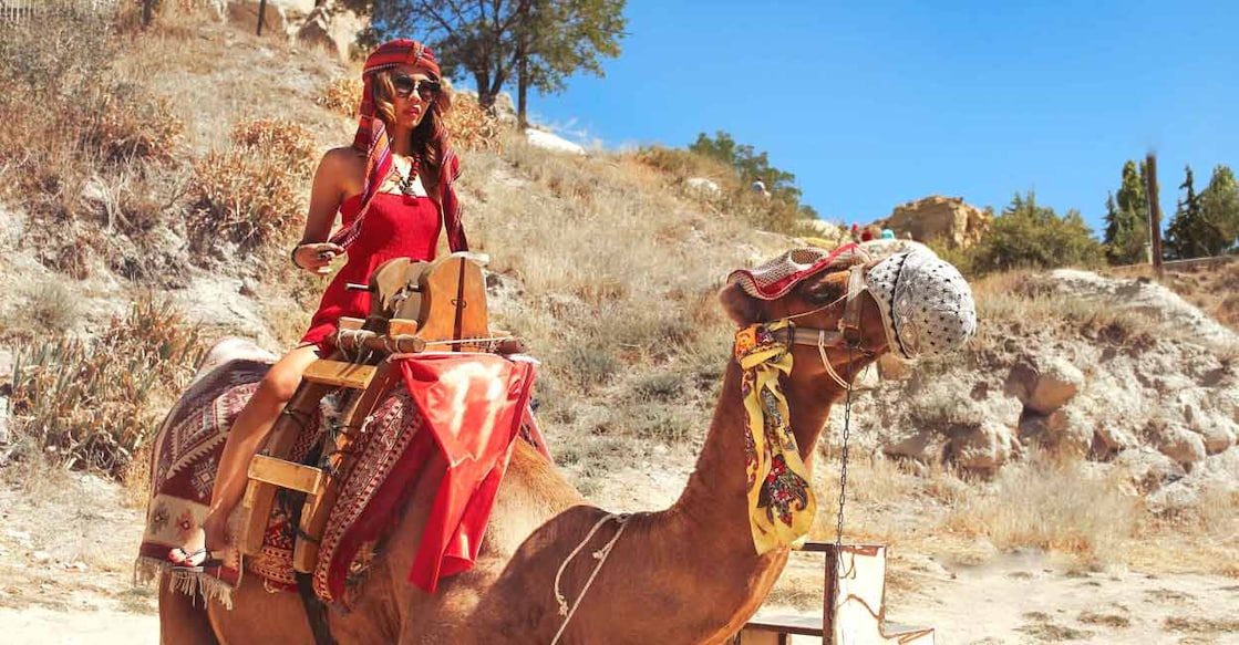 Image Credit : Enes Evren/istockphotos
