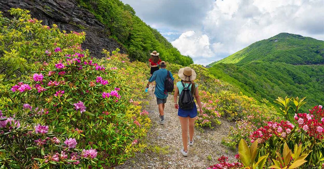 appalachian Image Credit : MargaretW/istockphoto