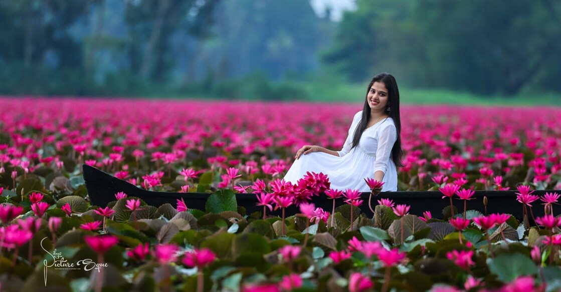 നൃത്ത അധ്യാപിക അരുന്ധതി ദേവി കൊല്ലാട് കിഴക്കുപുറത്തെ ആമ്പൽപ്പൂക്കൾക്കൊപ്പം. ചിത്രം: സിബി കൊല്ലാട്