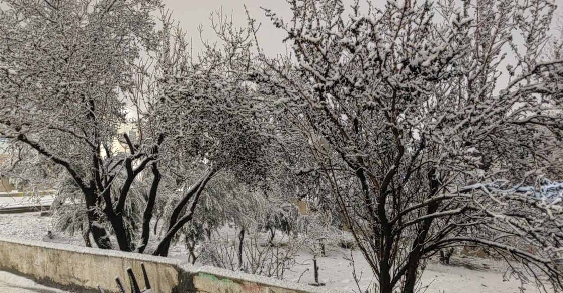 Heavy snow in Jordan Amman. Image Credit: Ahmad Sadeh/istockphoto