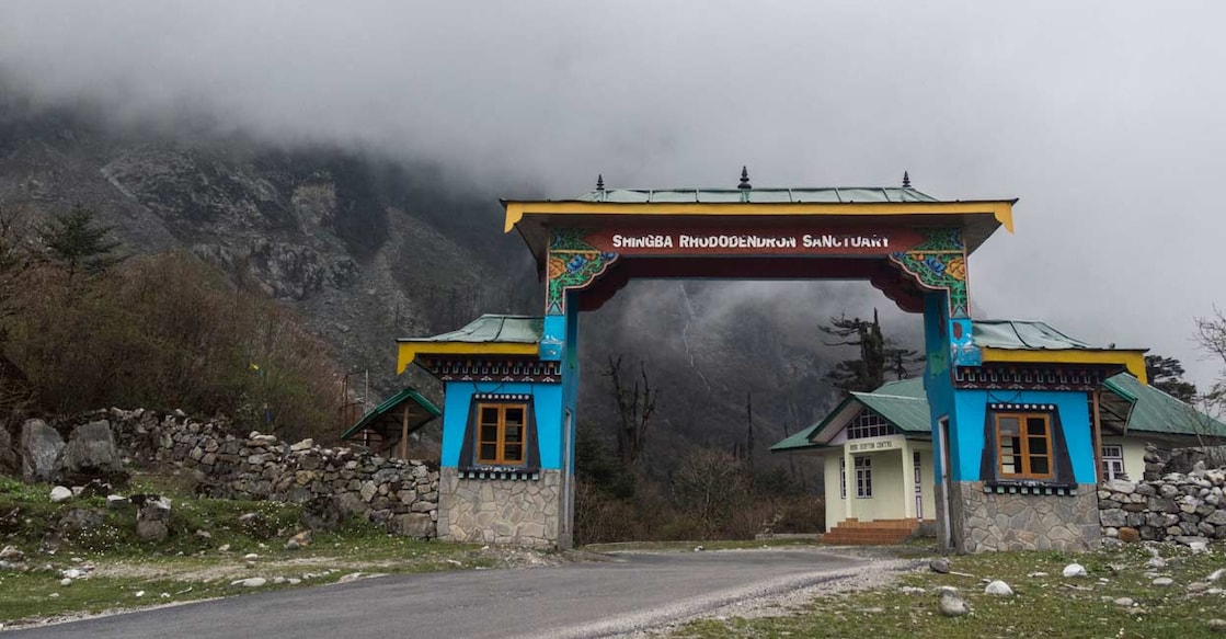 Shingba Rhododendron Sanctuary Entrance gate near Lachung,Sikkim. Image Credit: istockphoto/AmitRane1975