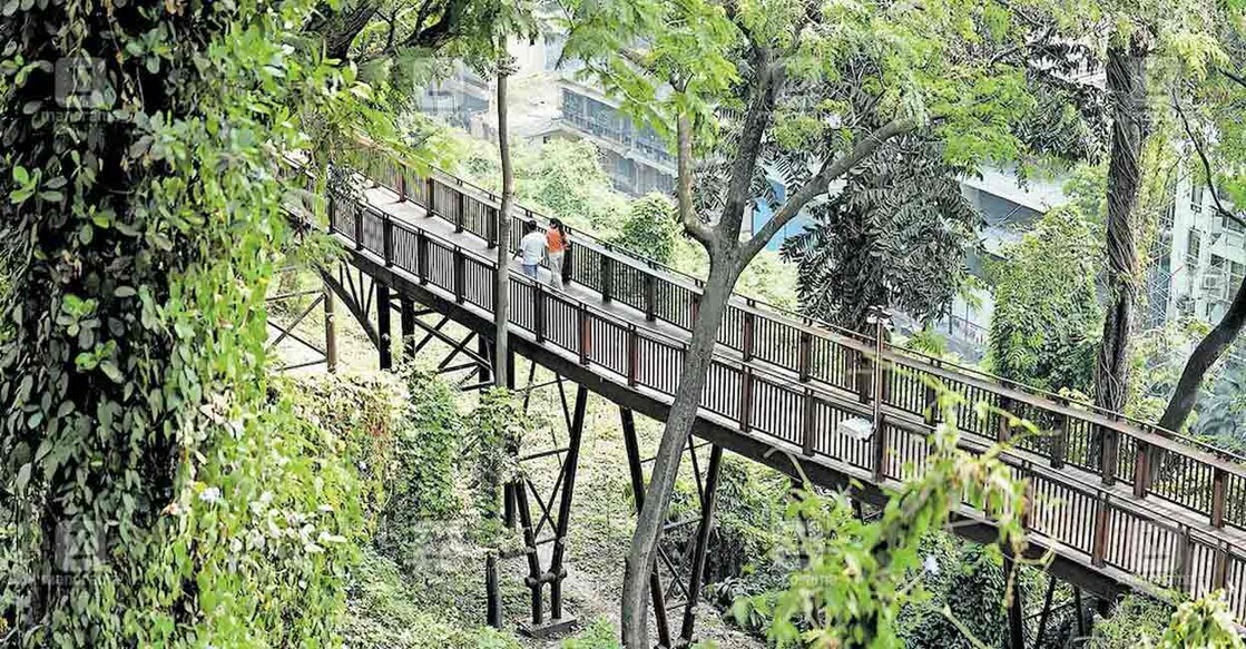 മലബാർ ഹില്ലിലെ എലിവേറ്റഡ് നേച്ചർ നടപ്പാത