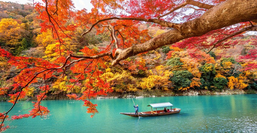 japan japan