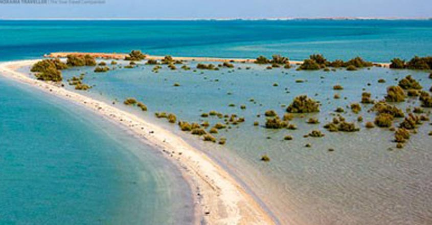 Farasan-Island Farasan-Island